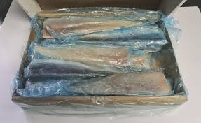Hake fish