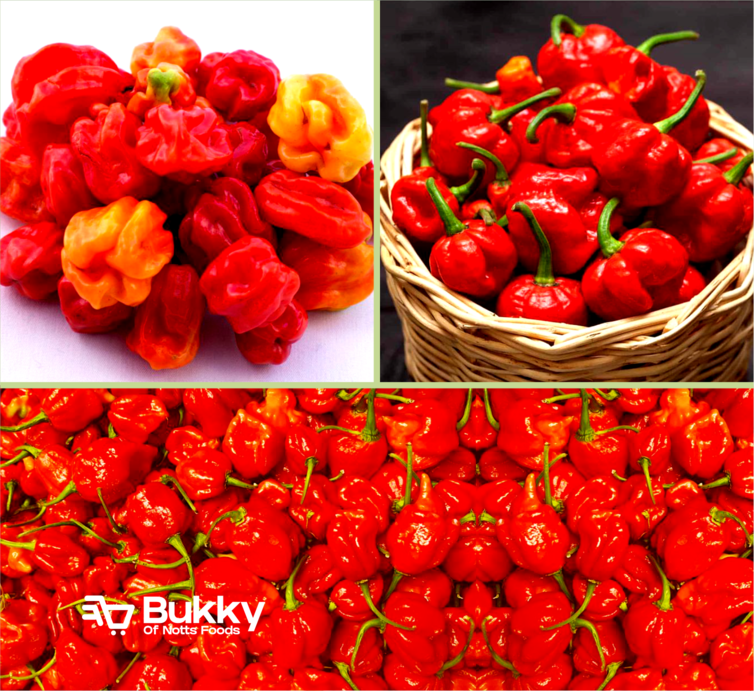 Uganda Pepper (Hot Rodo)