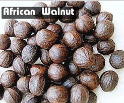 Walnut