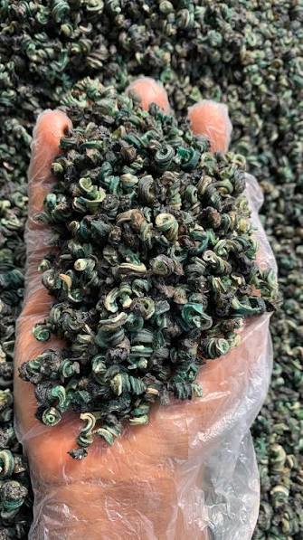 Dry Periwinkle