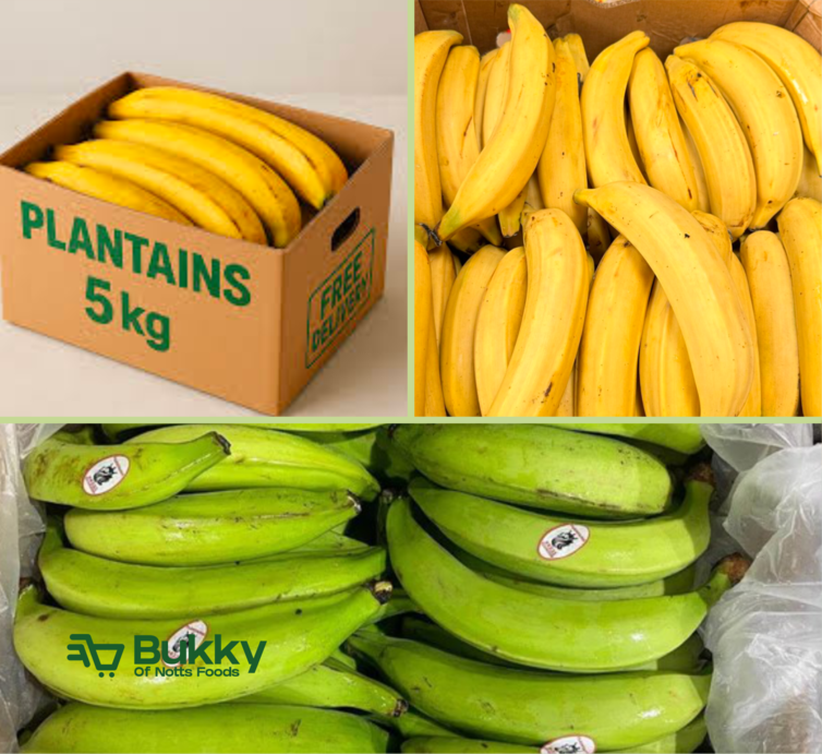 Plantain