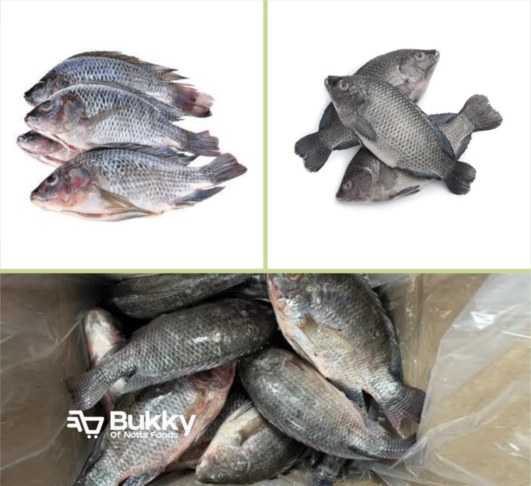 Tilapia 500 - 800g