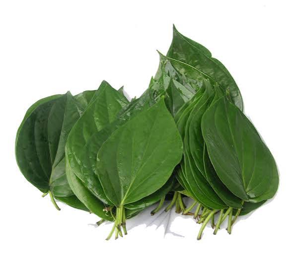 Bitter Leaf