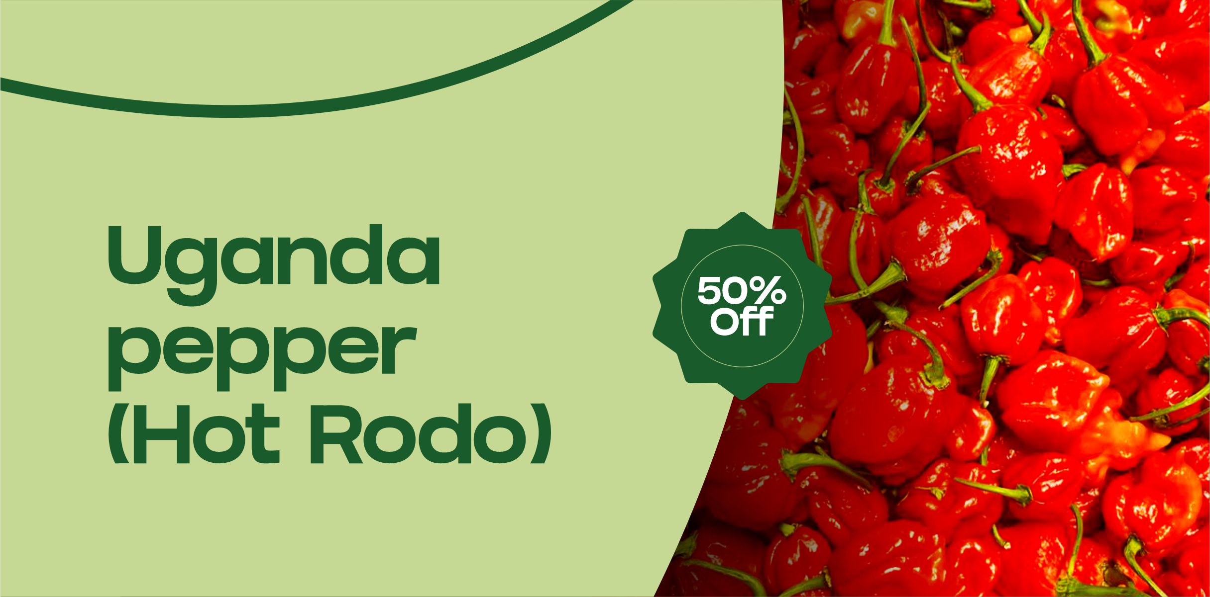 BukkyOfNottsFoods promo
